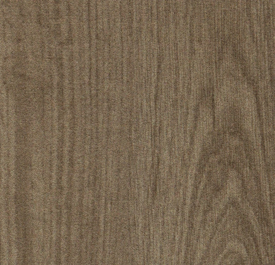 751004 American wood